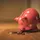Roth IRA Early Withdrawal Penalty on Bitcoin Gains